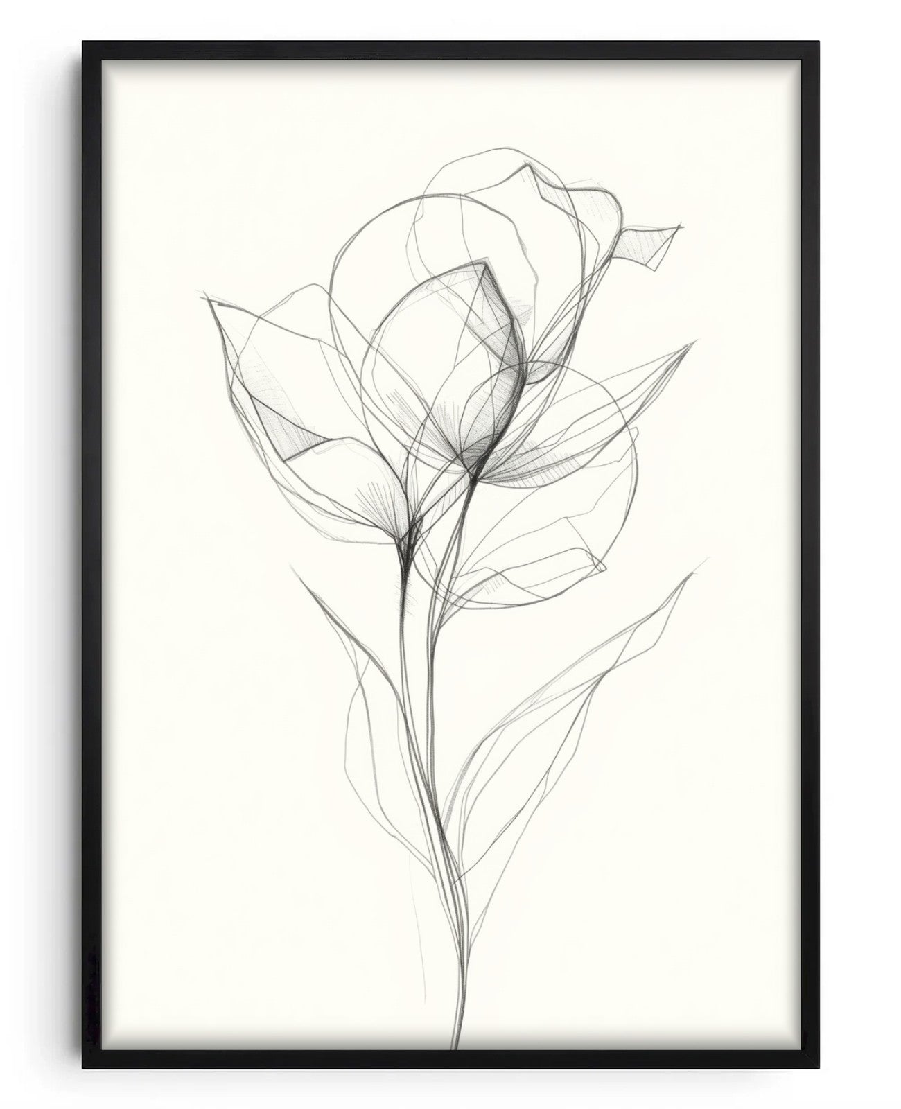 Eclipse of Whispered Geometries